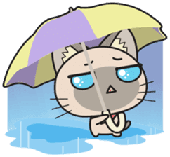 Hoshi & Luna Diary 4 sticker #280942