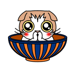 Bowl in cat sticker #281134