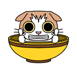 Bowl in cat sticker #281135