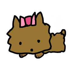 A cheerful Yorkshire terrier