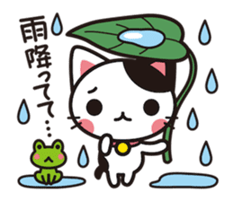 Cat that excuse cute sticker #283712