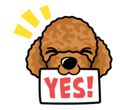 iinu  - Toy Poodle sticker #284949