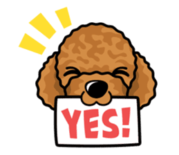 iinu - Toy Poodle sticker #284949