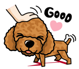 iinu - Toy Poodle sticker #284953