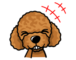 iinu  - Toy Poodle sticker #284956