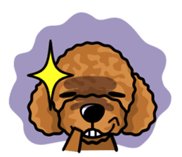 iinu  - Toy Poodle sticker #284957