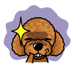 iinu - Toy Poodle sticker #284957