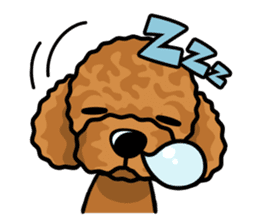 iinu - Toy Poodle sticker #284959