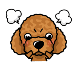 iinu  - Toy Poodle sticker #284960