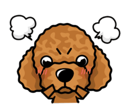 iinu - Toy Poodle sticker #284960
