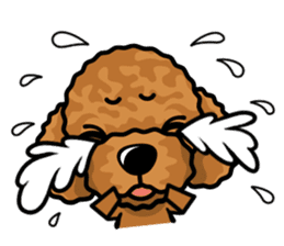iinu - Toy Poodle sticker #284962