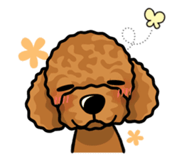 iinu  - Toy Poodle sticker #284963