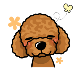 iinu - Toy Poodle sticker #284963