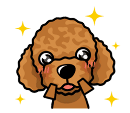 iinu  - Toy Poodle sticker #284965