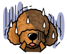 iinu - Toy Poodle sticker #284967