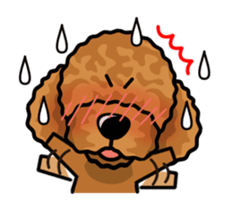 iinu - Toy Poodle sticker #284973