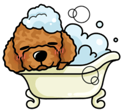 iinu - Toy Poodle sticker #284976