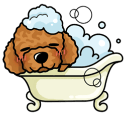 iinu  - Toy Poodle sticker #284976