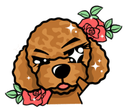 iinu - Toy Poodle sticker #284981