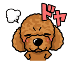 iinu  - Toy Poodle sticker #284982