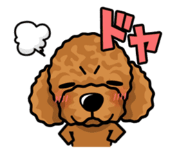 iinu - Toy Poodle sticker #284982