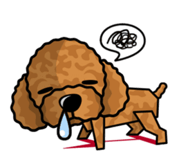 iinu - Toy Poodle sticker #284984