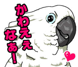 Animal stamp uchinonamamono sticker #287633