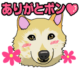 Animal stamp uchinonamamono sticker #287645
