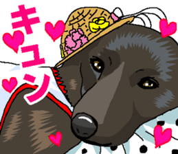 Animal stamp uchinonamamono sticker #287656