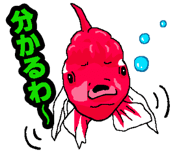 Animal stamp uchinonamamono sticker #287661