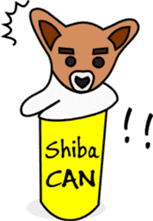 Shiba CAN & Tora CAN 1st (Eng) sticker #288538