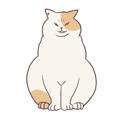 Don Of Fat Cat By Tamakon House Don Of Fat Cat By Tamakon House