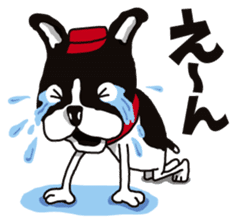 A golf of French Bulldog "butch" sticker #291397