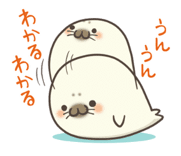 Cute Baby Harbor seal !! sticker #292680