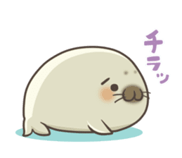 Cute Baby Harbor seal !! sticker #292687