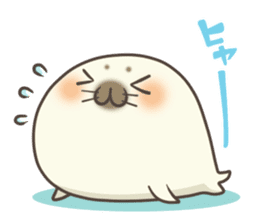 Cute Baby Harbor seal !! sticker #292703