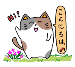 Message from a bit big cats sticker #292946
