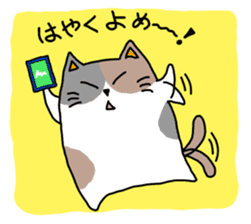 Message from a bit big cats sticker #292964