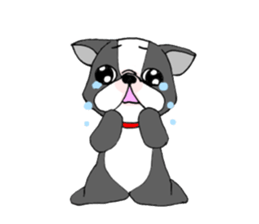 french bulldog bullbull sticker #293940