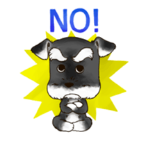 Miniature Schnauzer "MOMO" sticker #294448