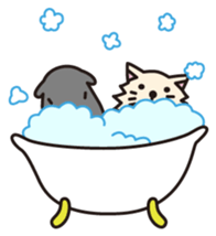 RANCOLO. sticker #298071