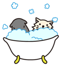 RANCOLO. sticker #298071