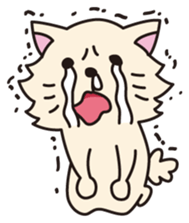 RANCOLO. sticker #298099