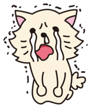 RANCOLO. sticker #298099