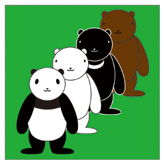 A life of three bears and one panda