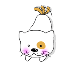 Rabu sticker #301145