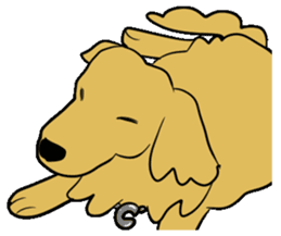 Chobi the GoldenRetriever sticker #303106