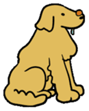 Chobi the GoldenRetriever sticker #303112