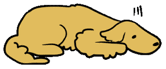 Chobi the GoldenRetriever sticker #303113