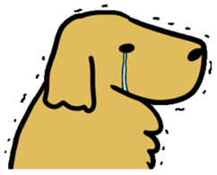 Chobi the GoldenRetriever sticker #303117